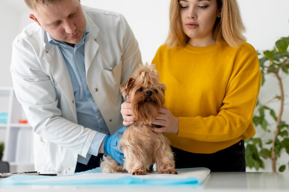 Veterinary Services