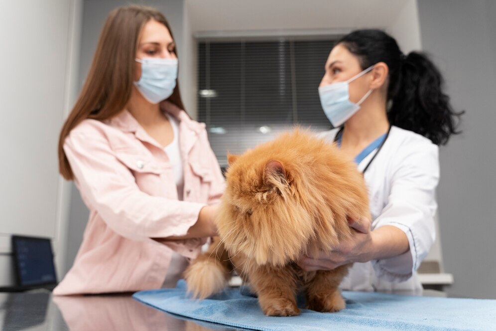 Healthy Pets